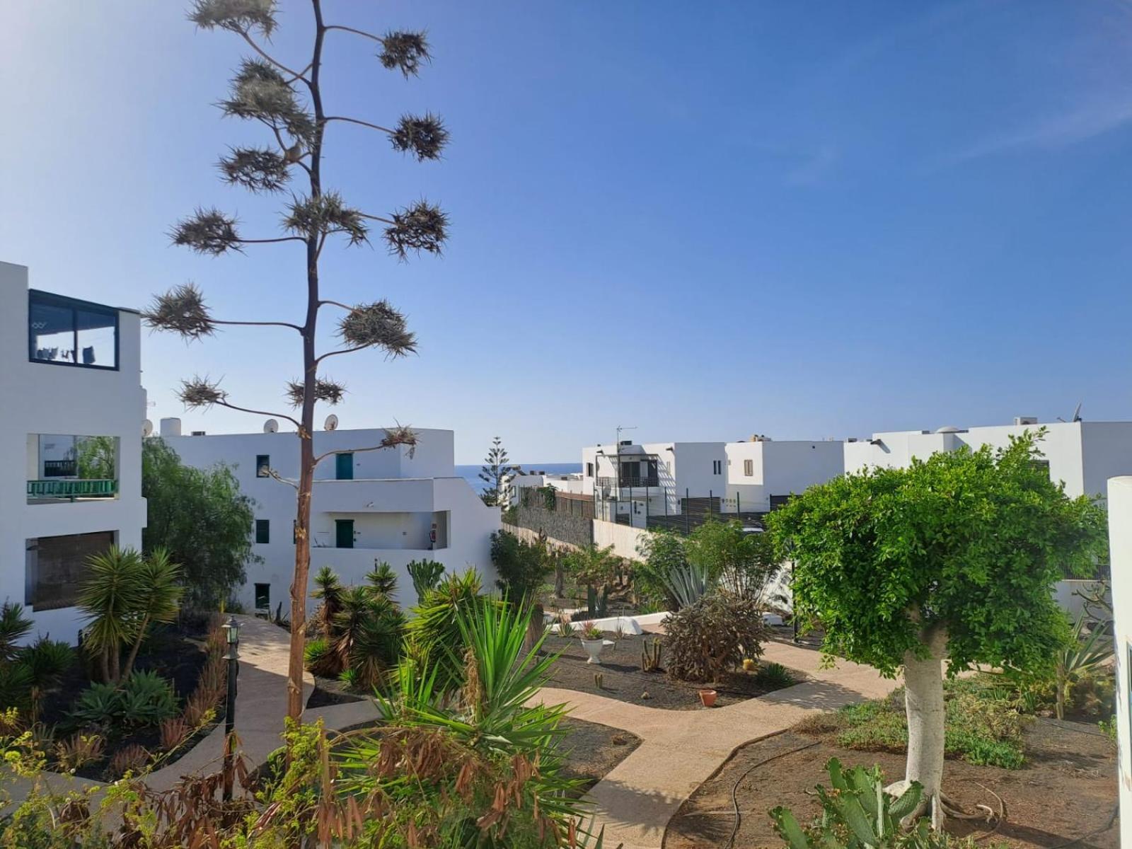 Azul Tuscan Playa Y Piscina 科斯塔特吉塞 外观 照片